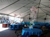 fish themed balloon centerpiece with clear latex balloons and fish topper